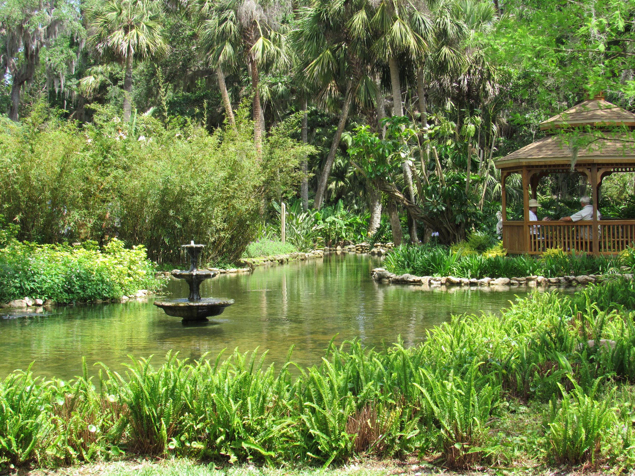 Lush park with a pond and walking paths